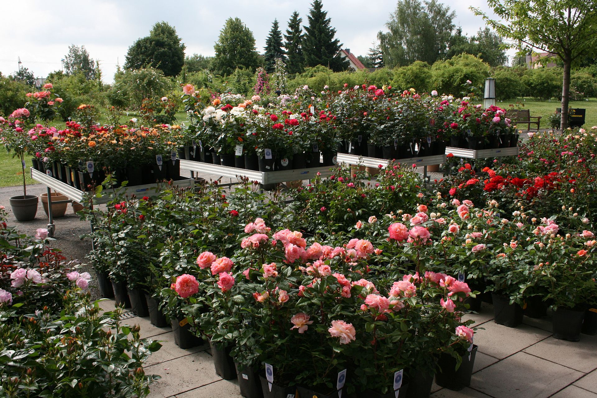 Gartenträume-Laden und Rosenverkauf