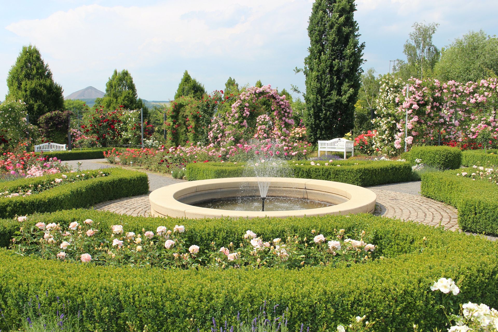 Rose Garden & Park - Europa-Rosarium Sangerhausen